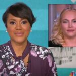 Meghan McCain, Tiffany Cross, The View, MSNBC, Asians