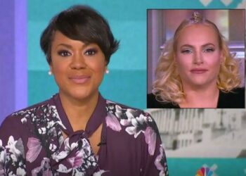 Meghan McCain, Tiffany Cross, The View, MSNBC, Asians