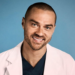 Jesse Williams, Grey's Anatomy, Jackson