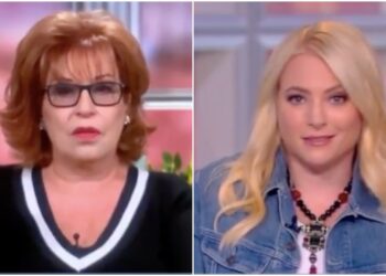 The View QAnon Joy Bear Meghan McCain The View