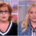 The View QAnon Joy Bear Meghan McCain The View