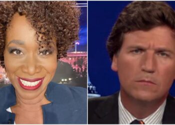 MSNBC Tuckems Joy Reid The Race Lady