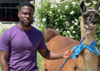 Hart, Kevin Hart, Cannon, Nick Cannon, billboard, prank, llama, birthday