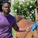 Hart, Kevin Hart, Cannon, Nick Cannon, billboard, prank, llama, birthday
