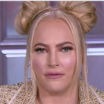 talk show, departure, Meghan McCain, The View, co-host,
