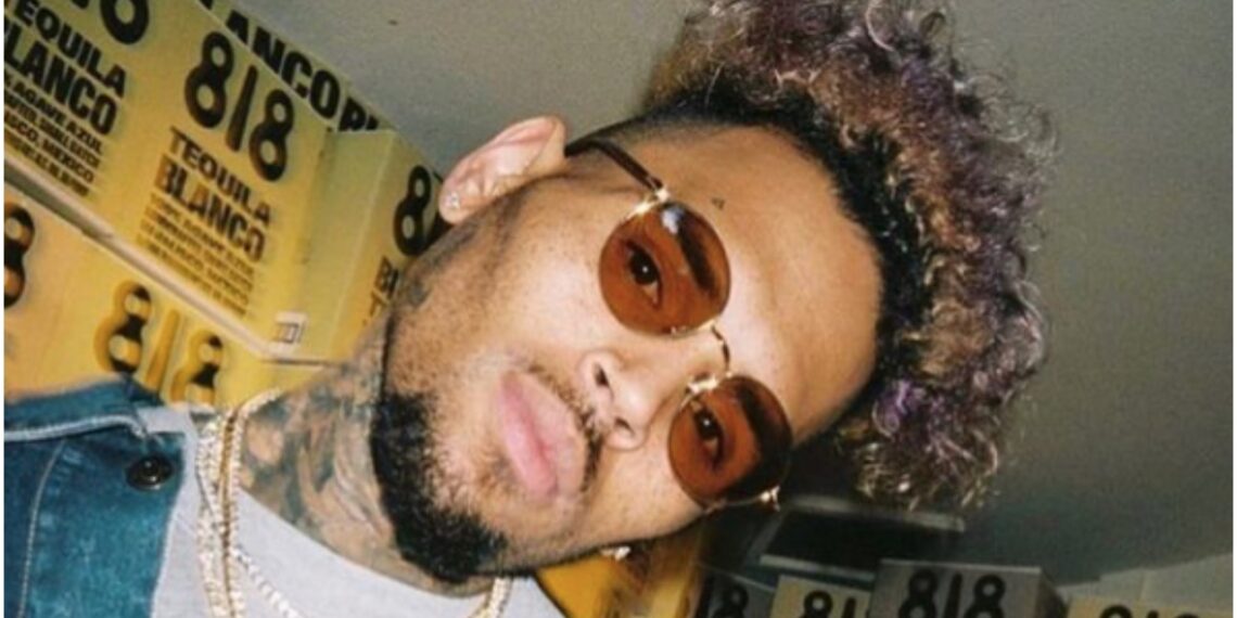 dark-skinned, light-skinnedChris Brown colorism Tik Tok