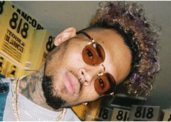 dark-skinned, light-skinnedChris Brown colorism Tik Tok