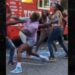 WNBA. Williams, Bradford, fight, food truck