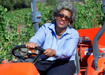 Trial Lawyer, Owner, Theodora Lee, Vineyard, California, Theopolis Vineyard,