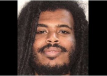 Alex Abraha mauled dogs