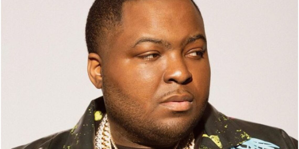 Sean Kingston videographer,