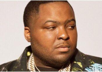 Sean Kingston videographer,