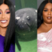 Columbus Zoo, Ohio, Aquarium, Sea, Lizzo, named, manatee, Cardi B, Cardi-Tee, animal
