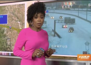 Black, momma, Twitter, users, Tashara, Parker, Texas, reporter, WFAA