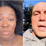 India Arie Rogan Spotify