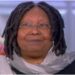 Whoopi Goldberg The View Holocaust comments