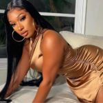 Meg Thee Stallion, rapper, Drake, Instagram, Rihanna, unfollow, Savage x Fenty, fans
