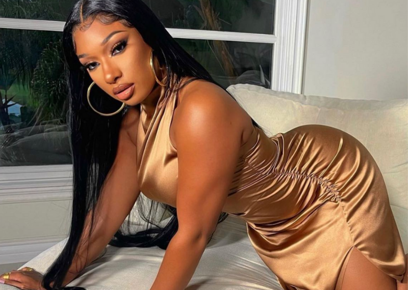Meg Thee Stallion, rapper, Drake, Instagram, Rihanna, unfollow, Savage x Fenty, fans