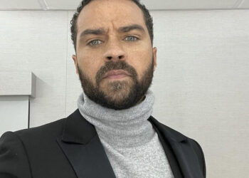 "Grey's Anatomy" star actor Jesse Williams Aryn Drake-Lee Custody Battle