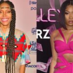 Erykah Badu, Megan Thee Stallion, Switzerland, performance, Gurtenfestival, concert, rapper, Houston