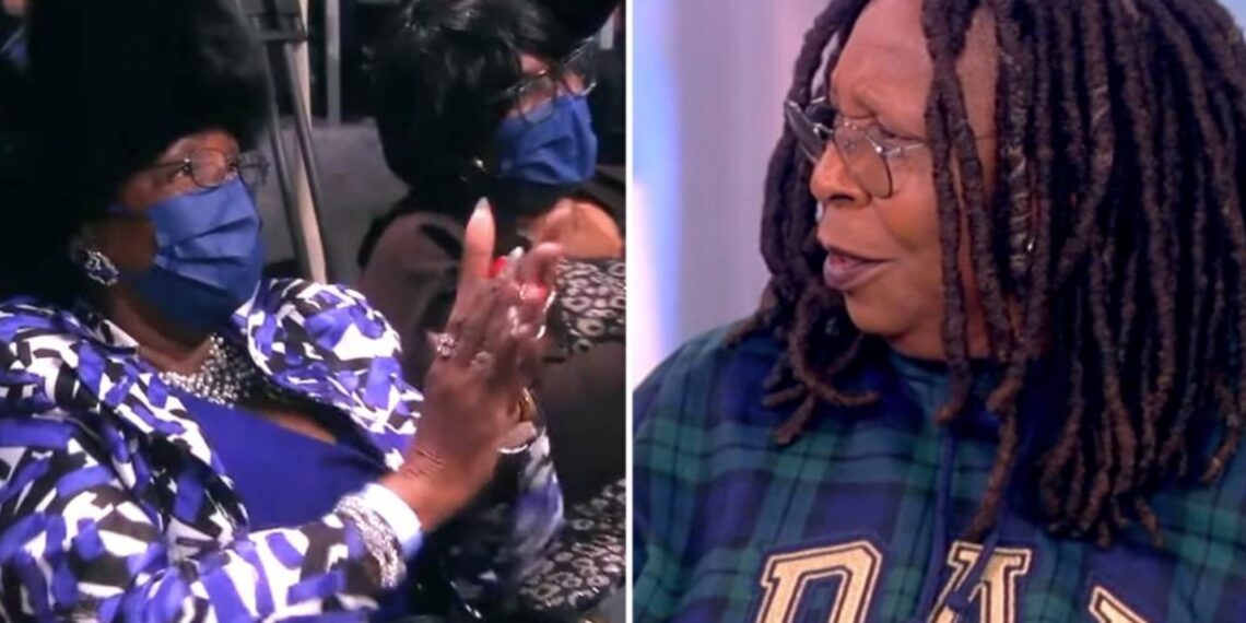 heckler, co-host, Sunny Hostin, Old Broad, The View, audience member, Whoopi Goldberg