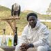 video, TikTok, game, Super Bowl, Jalen Hurt, comedian, eagle, Kevin Hart