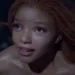 Halle, Disney, Florida, Ariel
