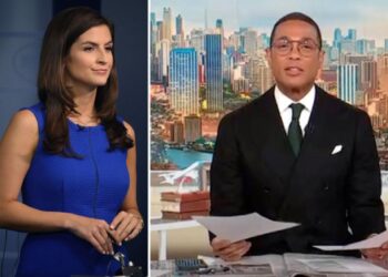 journalist, news, co-host, show, CNN This Morning, CNN, Kaitlan Collins, Don Lemon
