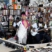 Durand Bernarrs Performance NPR Tiny Desk