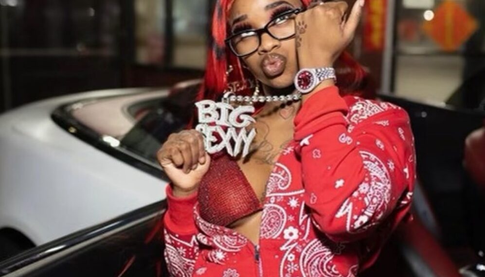 performers, audience, artist, bottles, performance, stage, Sexyy Red, rapper