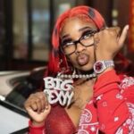 performers, audience, artist, bottles, performance, stage, Sexyy Red, rapper