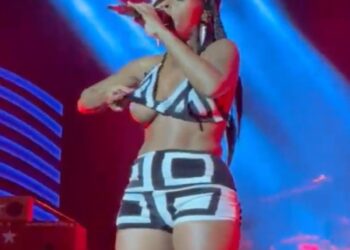 Janelle Monáe Essence Fest. titties nipple Uncle Luke