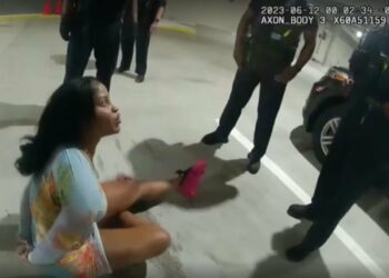 Hernandez, fight, Lex