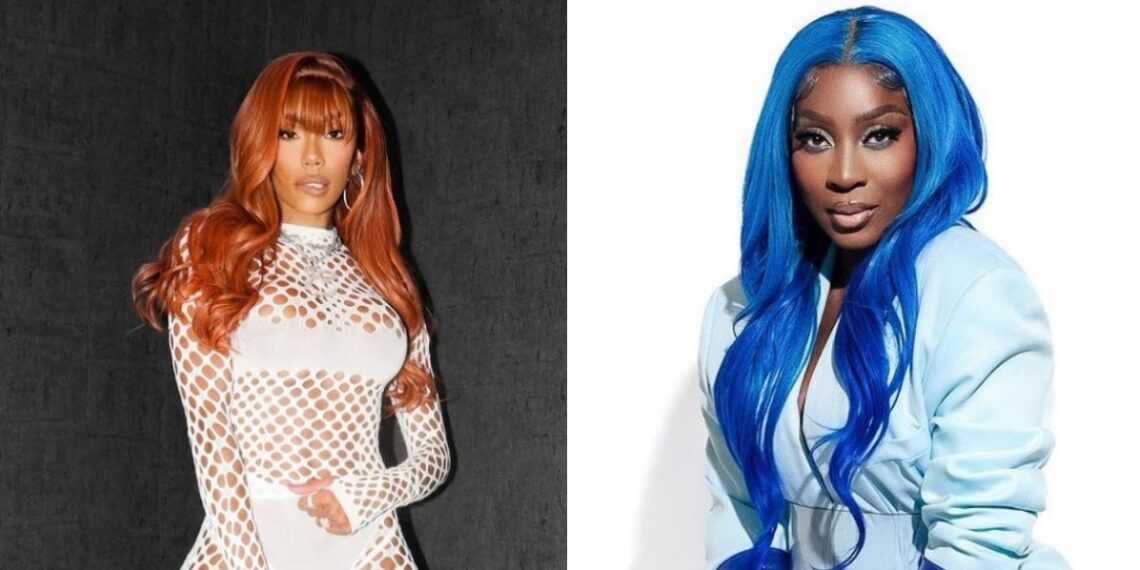 Shekinah Anderson, monkey, internet, Love & Hip Hop, son, Love & Hip Hop: Atlanta, Spice, Erica Mena