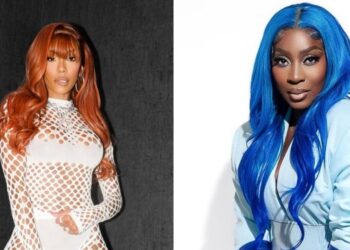 Shekinah Anderson, monkey, internet, Love & Hip Hop, son, Love & Hip Hop: Atlanta, Spice, Erica Mena