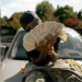 legal, drama, CMG, Yo Gotti, release, prison, 42 Dugg, rapper