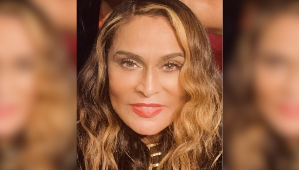 fierceness, mean, Renaissance, Tina, Knowles, Beyoncé, Queen, tour