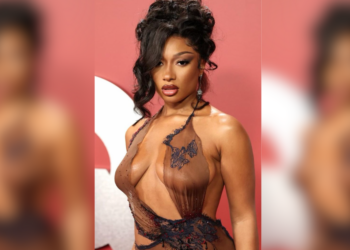 industry, agreement, Warner, Music, Thee Stallion, Megan, hot, girl